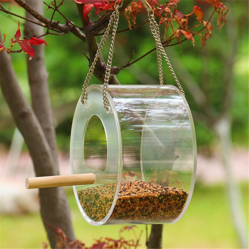Dispensador Acrílico para Alimento de Aves