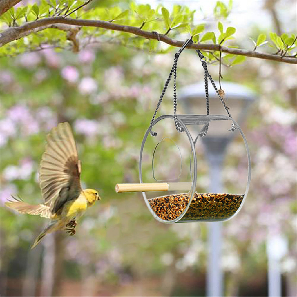 Dispensador Acrílico para Alimento de Aves