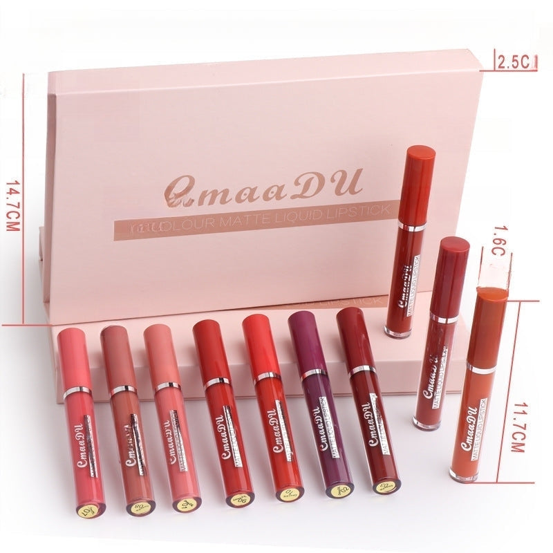 Set 10 Labiales Mate Anti-transferencia Impermeable